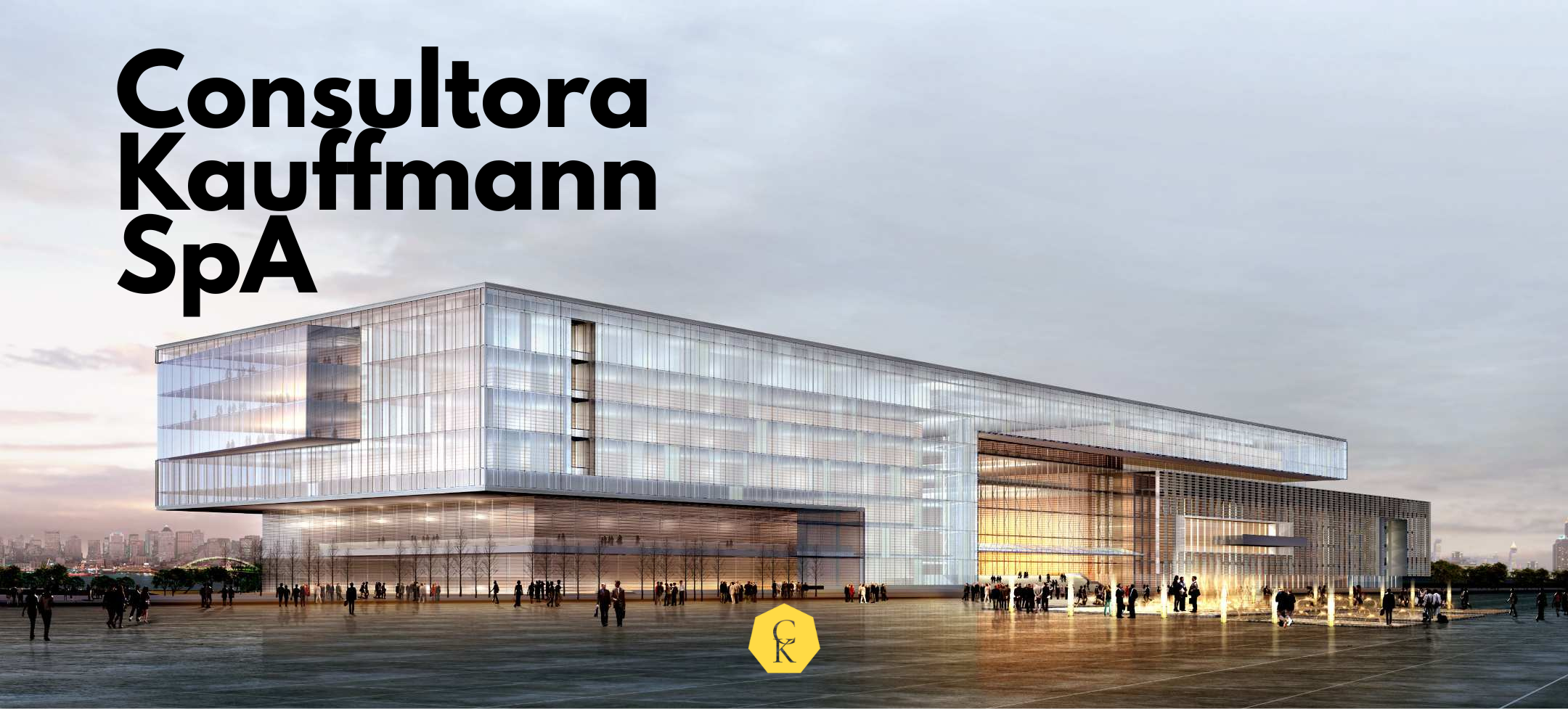 Consultora Kauffmann SpA