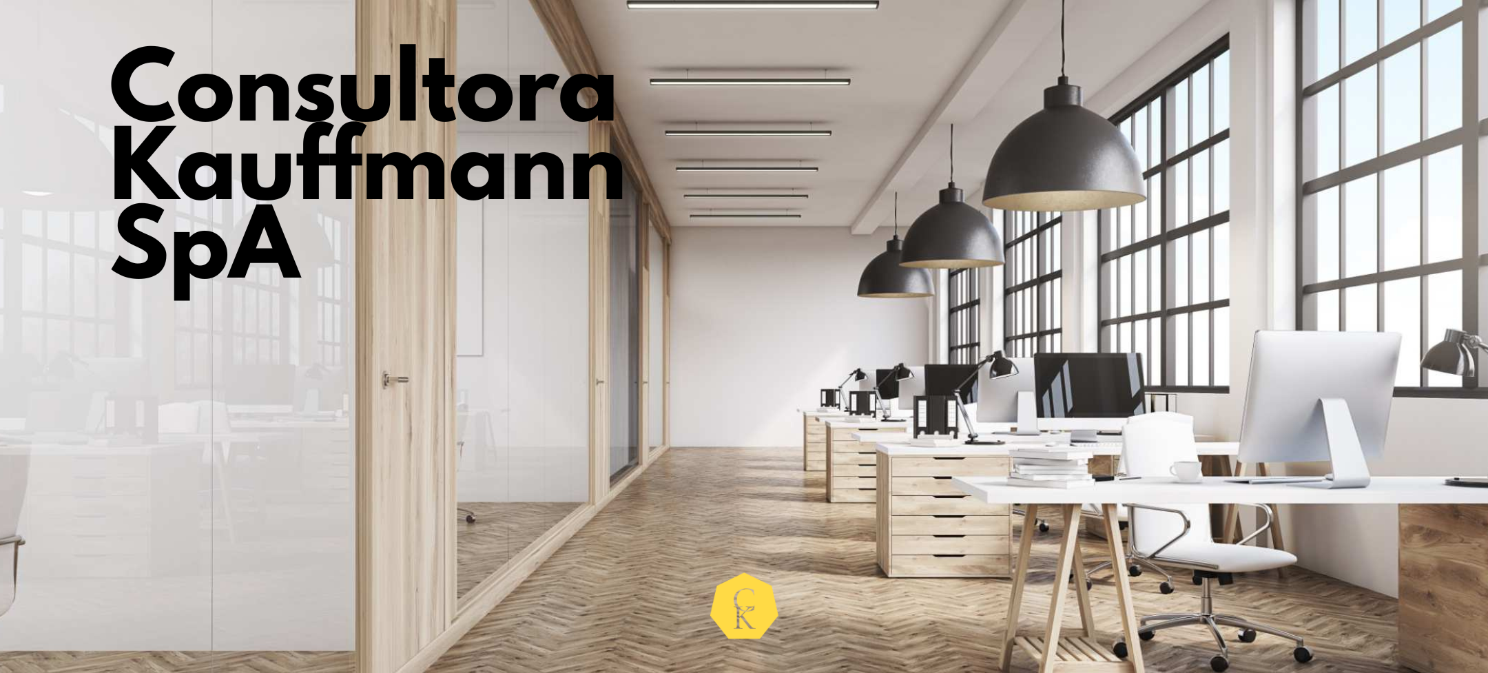 Consultora Kauffmann SpA