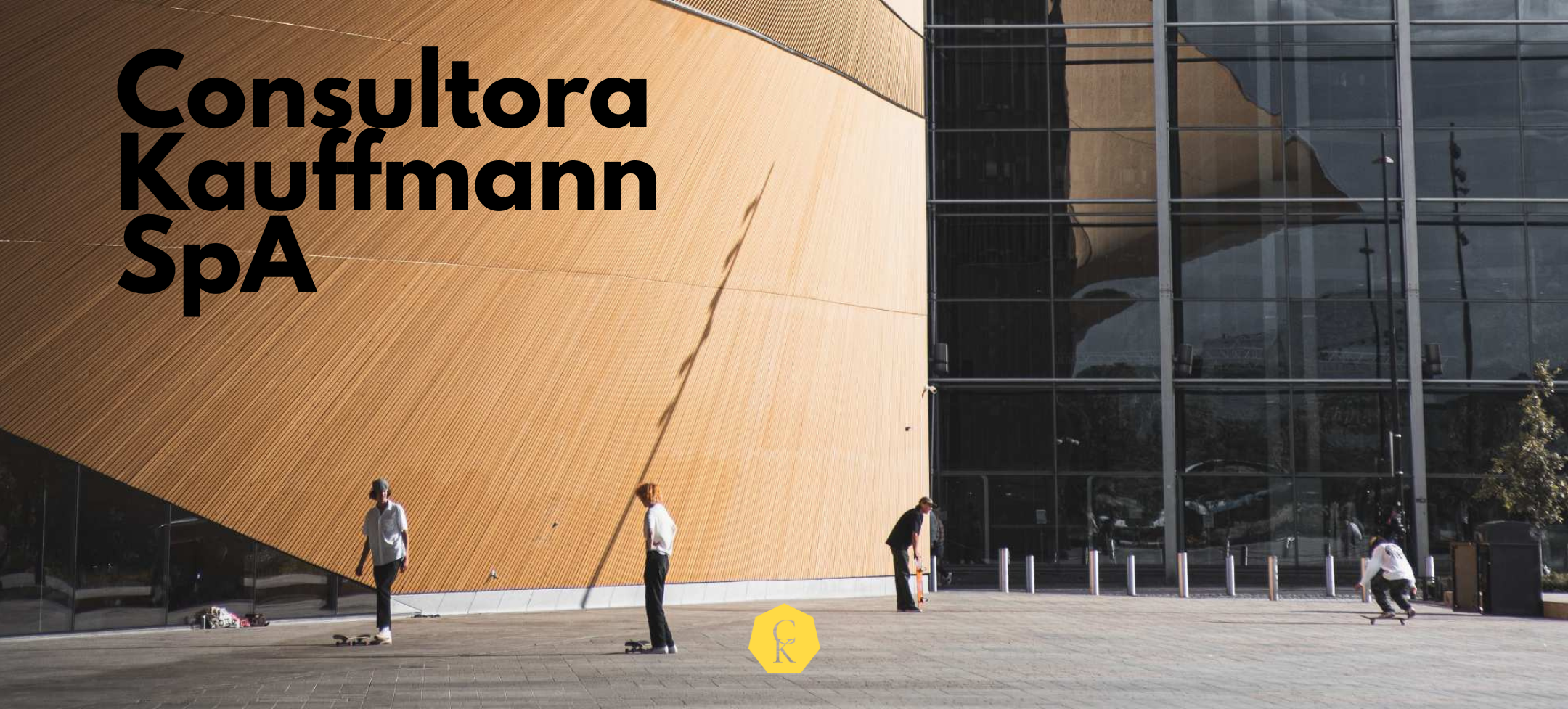 Consultora Kauffmann SpA